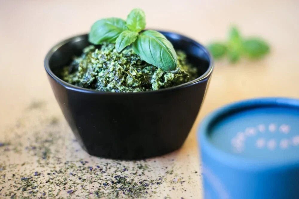 Seaweed Pesto - Lofoten Seaweed