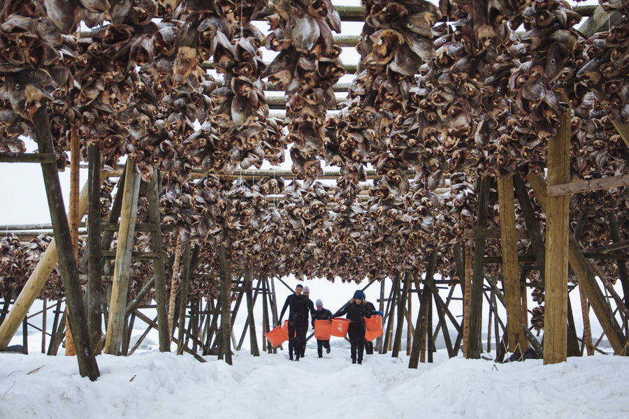 Lofoten Traditions