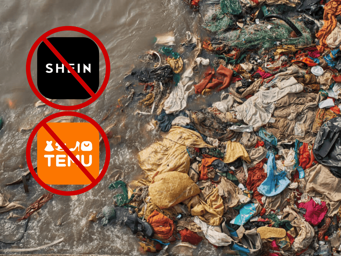 The Real Cost of Shopping with Temu and Shein: Unwrapping the Ugly Truth Behind the Low Prices - Lofoten Seaweed