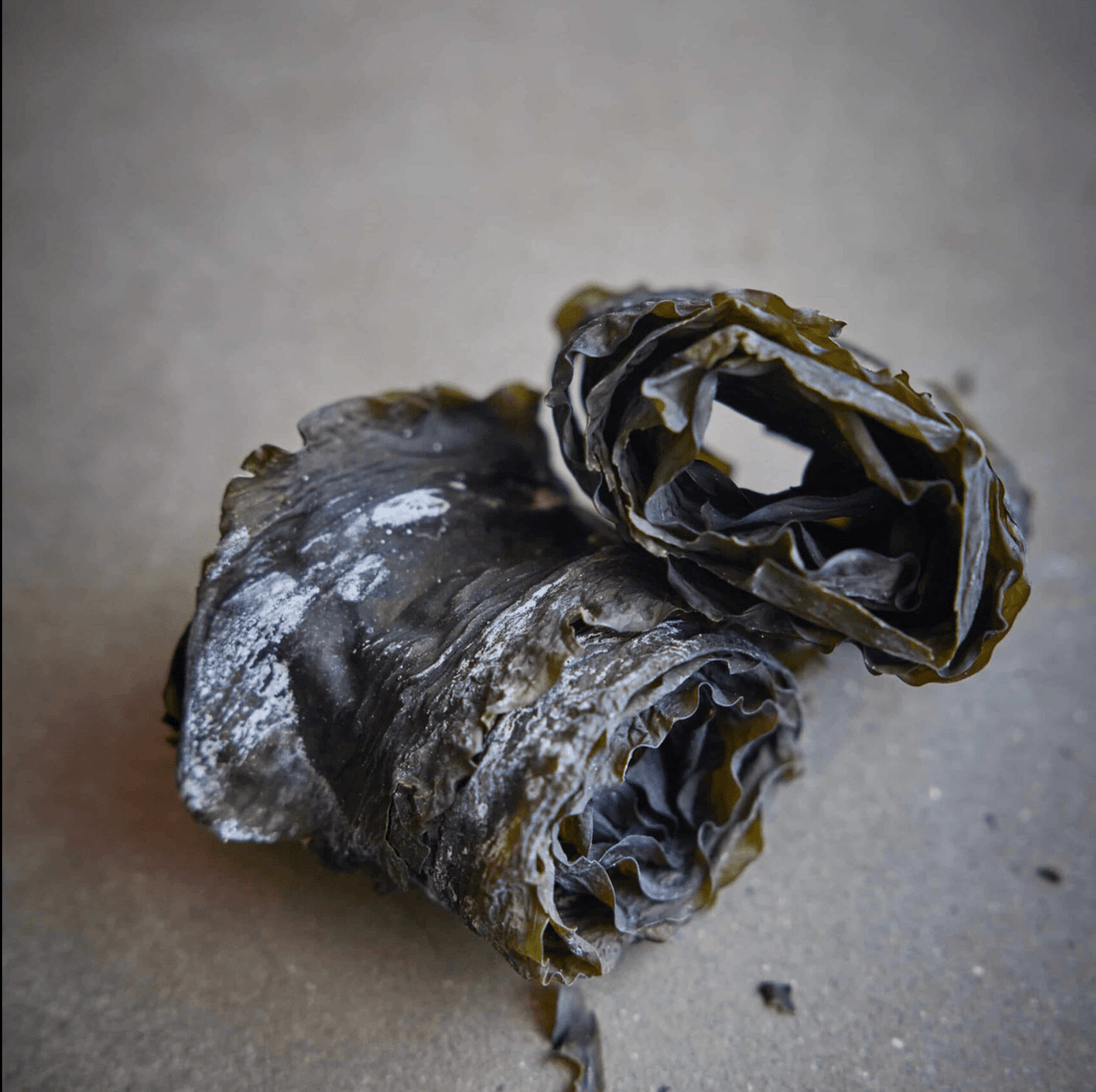What Is The White Stuff On Seaweed? - Lofoten Seaweed